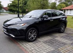 国产网,引领潮流，打造民族互联网新生态